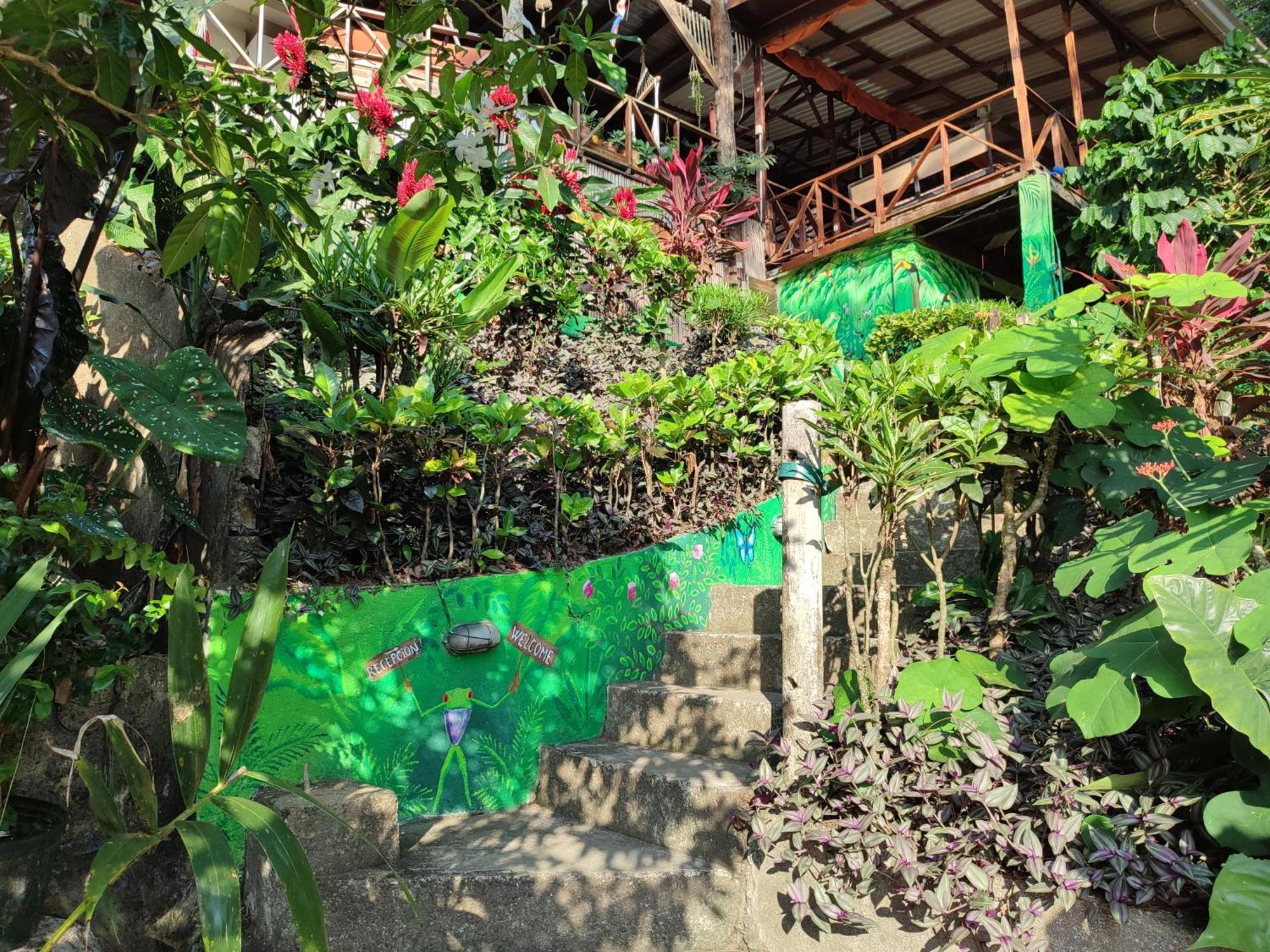 Hostel Plinio Manuel Antonio Exterior foto